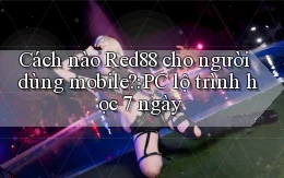 Cách nào Red88 cho người dùng mobile PC lộ trình học 7 ngày