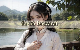 đá gà Baccarat