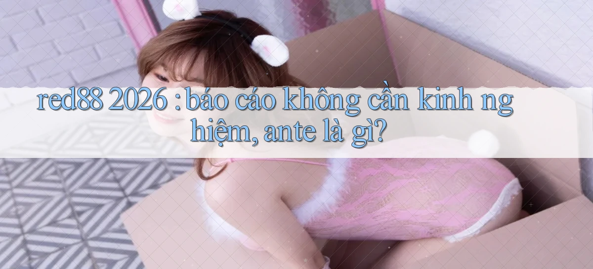 red88 2026 báo cáo không cần kinh nghiệm, ante là gì