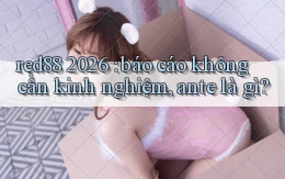 red88 2026 báo cáo không cần kinh nghiệm, ante là gì