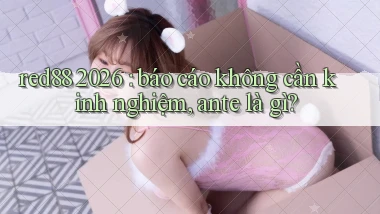 red88 2026 báo cáo không cần kinh nghiệm, ante là gì