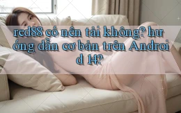 red88 có nên tải không hướng dẫn cơ bản trên Android 14