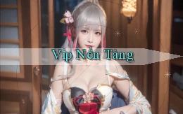 vip Nền tảng
